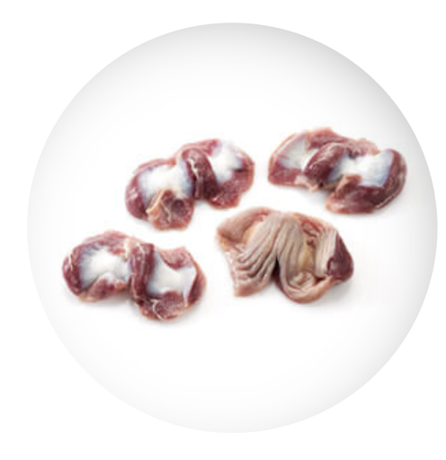 GESIER DE POULET - 5 Kg